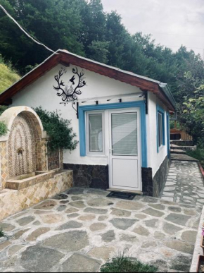 Cozy Home in Ardino